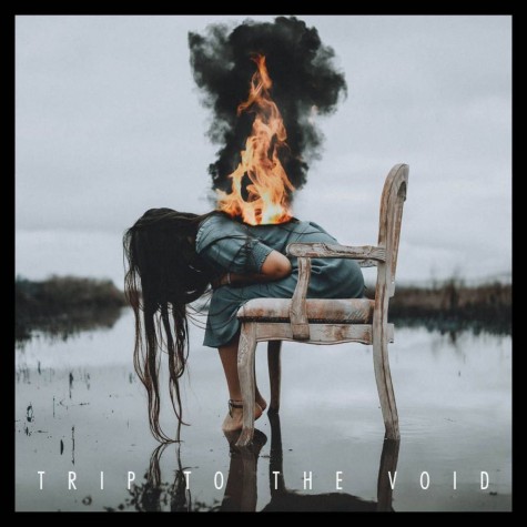 BLOCKHEADS - Trip to the Void LP