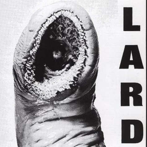 Lard - power of lard EP/12" Lard - power of lard EP/12"