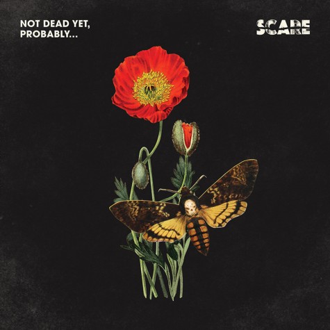 Scare - Not dead yet, probably​ LP