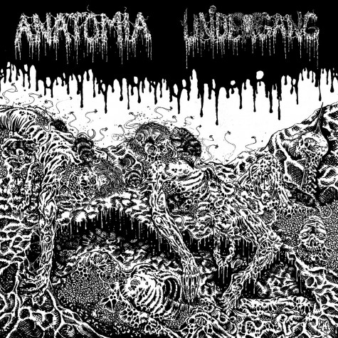 Anatomia / Undergang - split LP Anatomia / Undergang - split LP