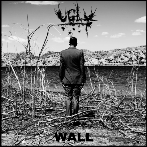 Ugly - Wall 7"